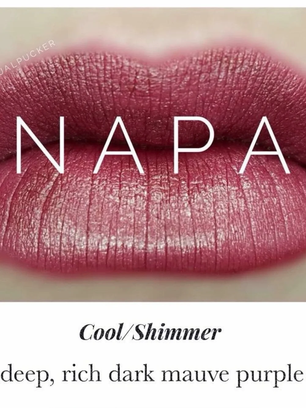 LipSense bundle for amber_fellows